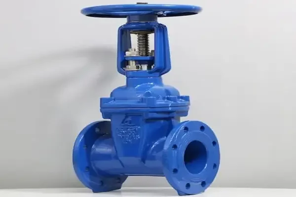 Van cổng ty nổi DN100